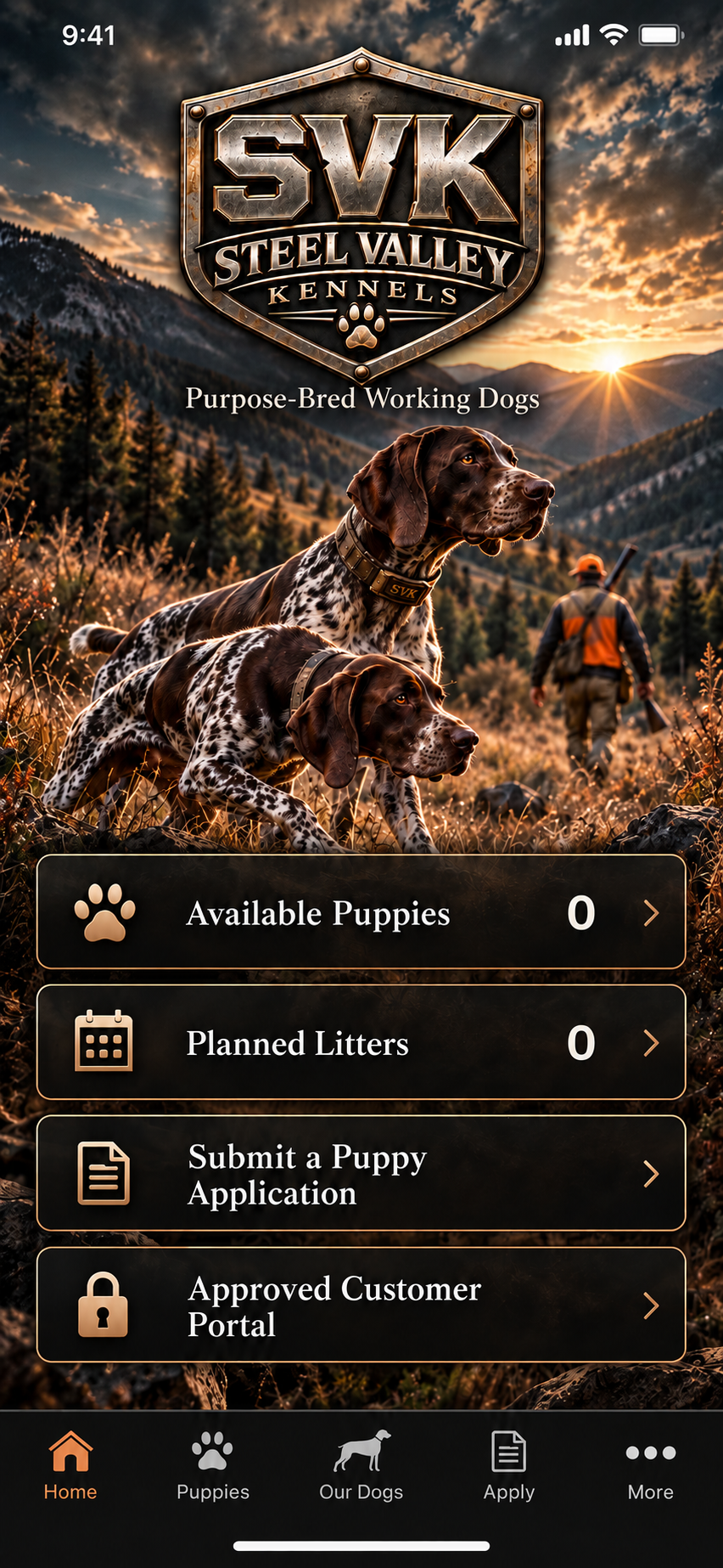 German Shorthaired Pointer at Steel Valley Kennels